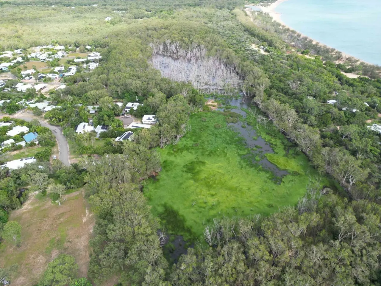 Salvarea zonei umede Horseshoe Bay: Un ecosistem fragil pe marginea prăpastiei